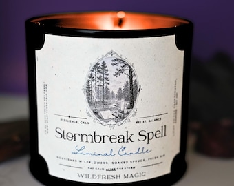 Stormbreak Spell Liminal Candle | Ritual Candle | Soaked Spruce, Wildflowers & Fresh Air