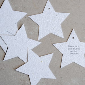 Geschenkanhänger Sterne (Karte aus Saatpapier)