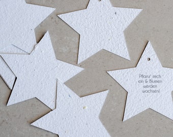 Geschenkanhänger Sterne (Karte aus Saatpapier)