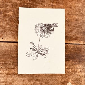 carte avec bourdon et marguerite (papier à graines)
