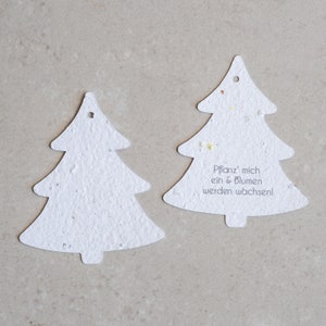 Étiquette cadeau Sapin de Noël (carte en papier ensemencé)