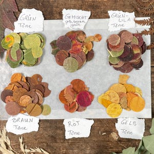 Natuurlijke bladconfetti / 100 procent duurzame confetti gemaakt van echte bladeren / biologisch afbreekbare confetti voor bruiloften gemaakt van bladeren