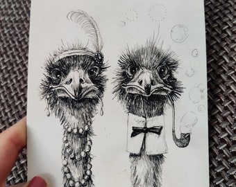 Mr and Mrs Ostrich Pair of ostriches ink drawing postcard