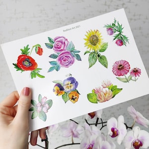 May include: A paper sheet with watercolour illustrations of diverse flowers, such as a red poppy, pink roses, a yellow sunflower, and purple pansies. The text "Redilion Art 2021" is printed on the paper.