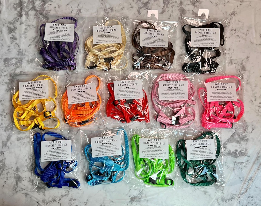 Dwarf Rabbit Harness & Leash Set - Etsy