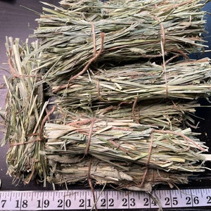 Organic Timothy Hay Twist Bundle
