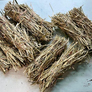 Timothy Hay Stacks - 2ct