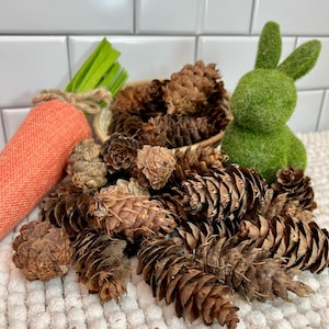 May include: A pile of brown pine cones on a white fuzzy surface. There is a green plush bunny and an orange carrot in the background.