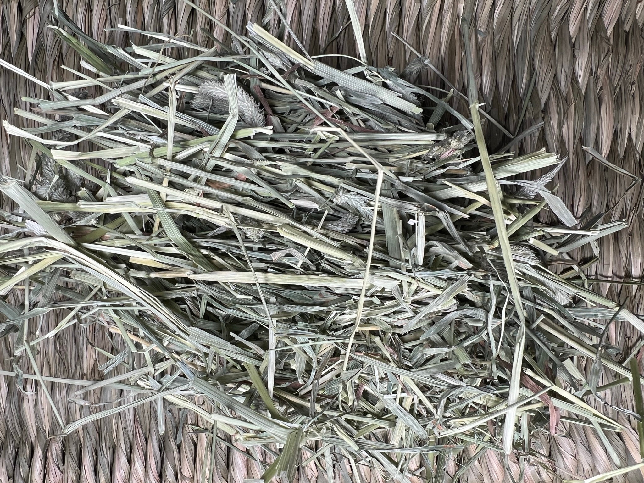 Organic PNW Timothy, Orchard & Alfalfa Hay + Mixes