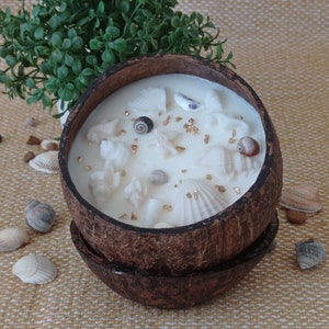 Tropical Coconut Shell Candle Scented/ Natural Coconut Shell/ Anniversary Gift