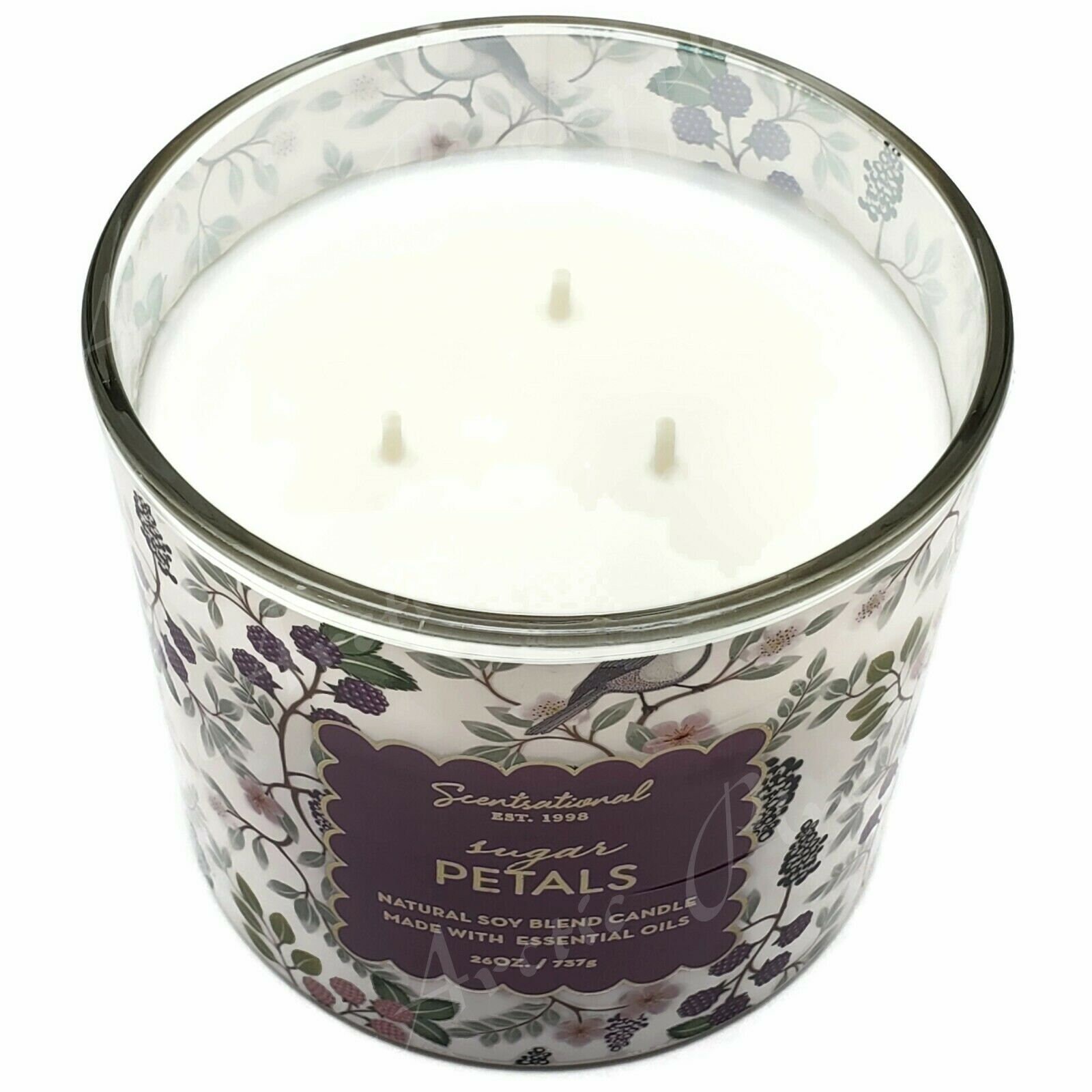 Scentsational Natural Soy Blend 26oz Cotton 3 Wick Candle Jar Sugar