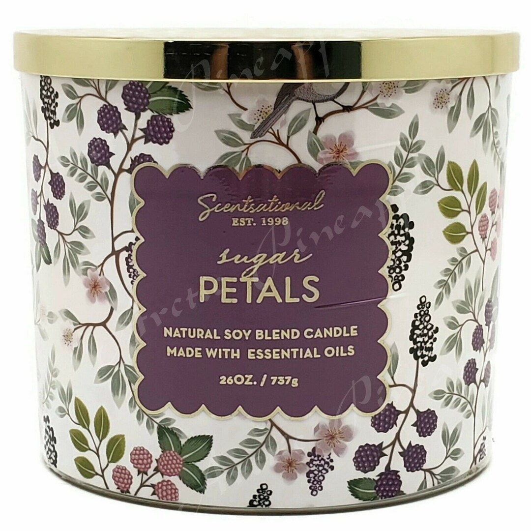 Scentsational Natural Soy Blend 26oz Cotton 3 Wick Candle Jar Sugar
