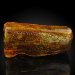 TOP! NATURAL! Gold Baltic Amber, Baltic Sea, Lithuania K-24-1