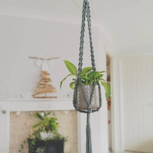 May include: A grey macrame plant hanger with a green plant in a grey pot. The hanger is hanging from a ceiling hook and the plant is in focus.
