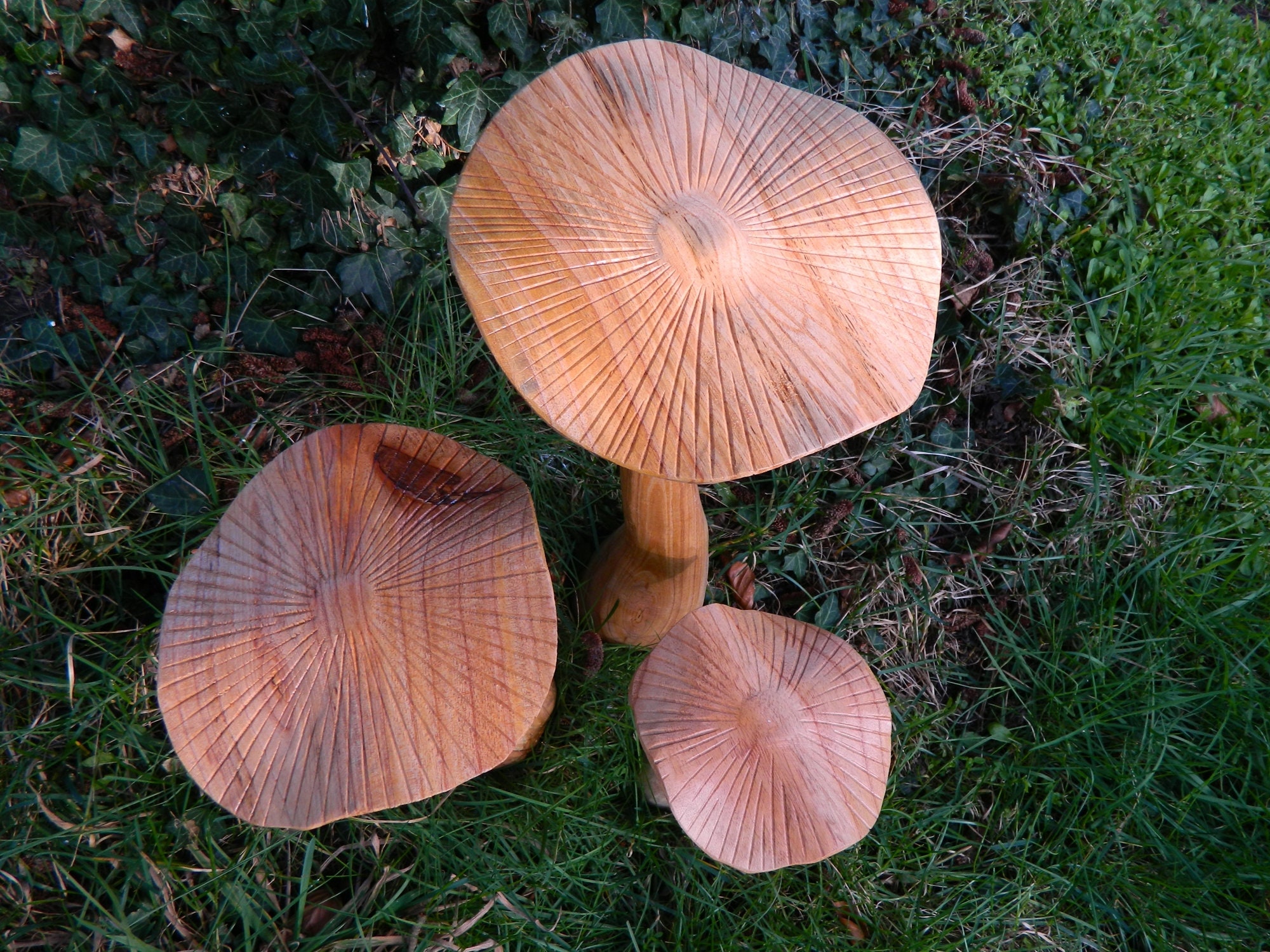 Set of 3 Natural Wooden Mushroom Garden Ornament Flat Top Etsy