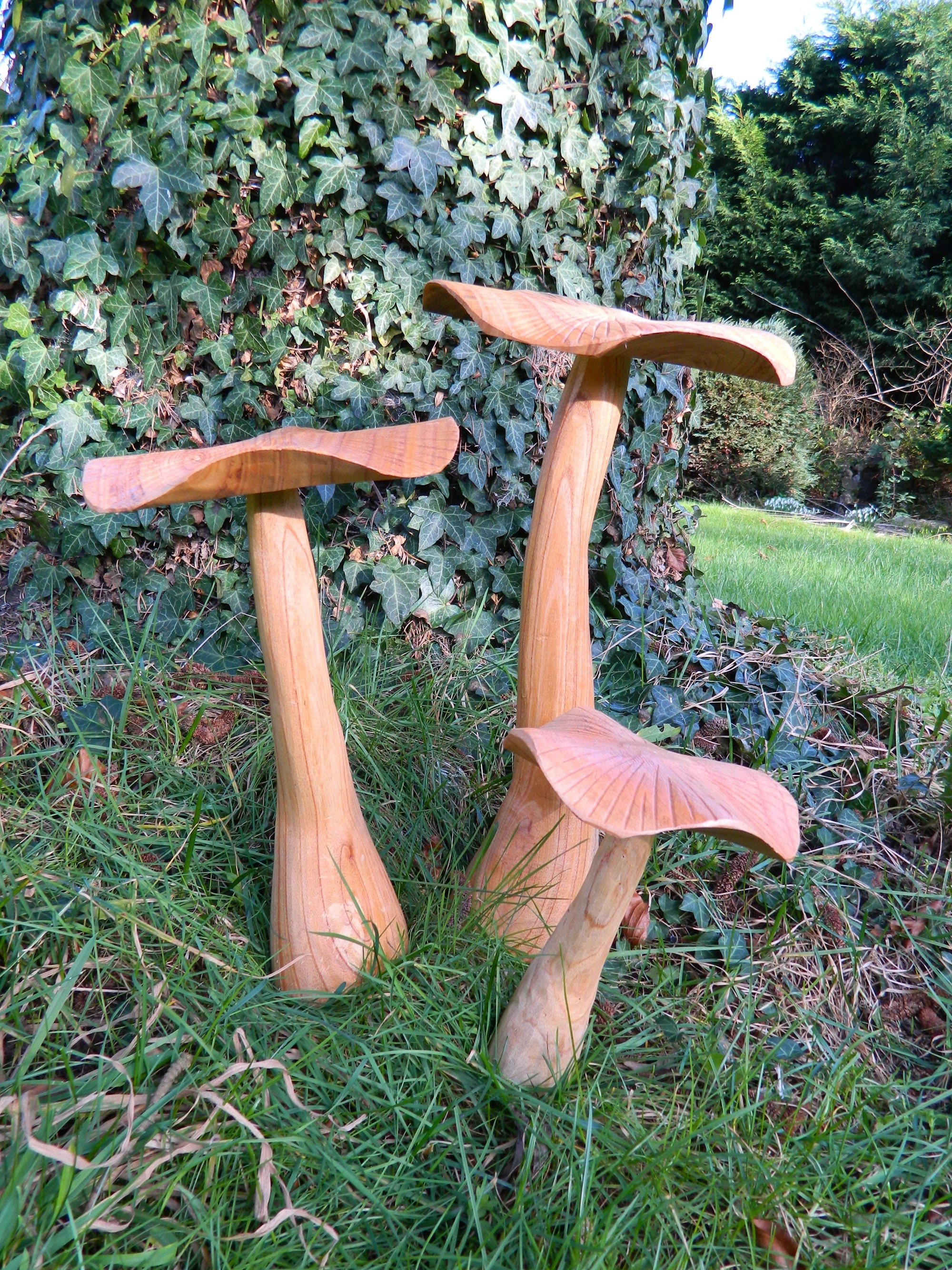 Set Of Three Wooden Mushrooms For Garden By RugsSkyStore