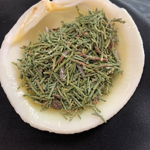 Cedar Herb (10g) - Witchcraft, Wiccan, Hoodoo - Cleansing & Protection