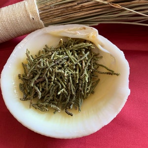 Feuilles de genévrier - Herbes et ingrédients de sorcellerie, Boutique britannique, Herbes Wiccan, Hoodoo, Love Magic, Bons sorts d&#39;énergie, Fabrication de bougies, Encens