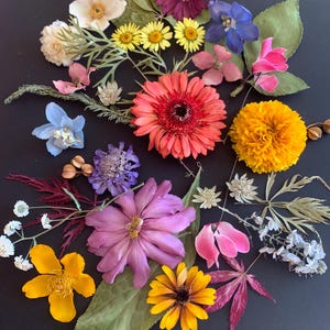 Dried Flowers and Leaves, Flowers for Resin, UK Shop, Jewellery Making, Candle making, Flowers for Crafting, Genuine Un-Dyed Dried Flowers