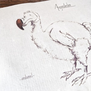 Illustration | Dodo | Kunstdruck | recyclingpapier | Digitaldruck