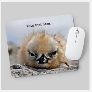 May include: A white computer mouse rests on a mousepad featuring a close-up of a fluffy, light brown bird with a dark beak and eyes. The mousepad has the text "Your text here..." at the top.