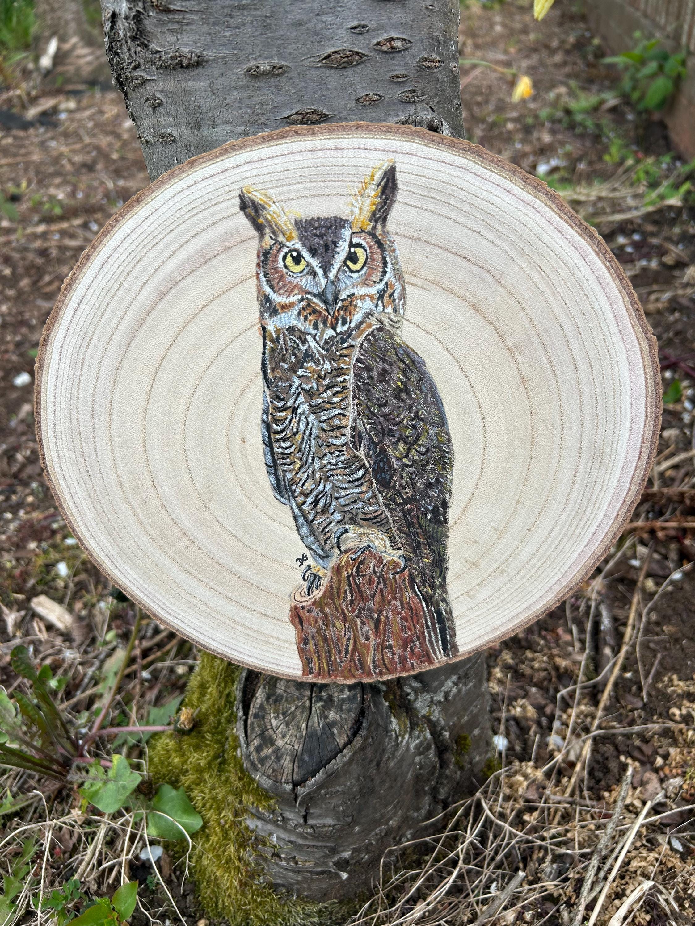 Natures Perch- Oscar The Eagle Owl