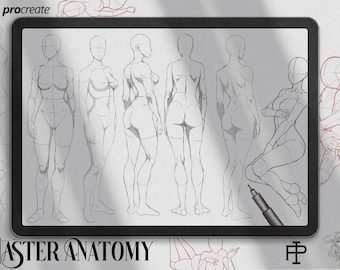 Procreate / Master anatomy ~ artist guide