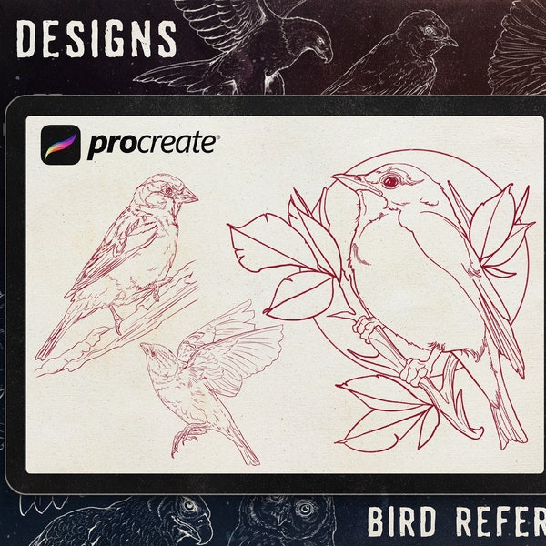 The bird reference folder for Procreate