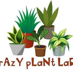Könnte beinhalten: Eine Sammlung von fünf Topfpflanzen mit grünen Blättern in verschiedenen Grüntönen. Die Pflanzen stehen in weißen, braunen und grauen Töpfen. Der Text "Crazy Plant Lady" ist in orangefarbenen Buchstaben unter den Pflanzen geschrieben.