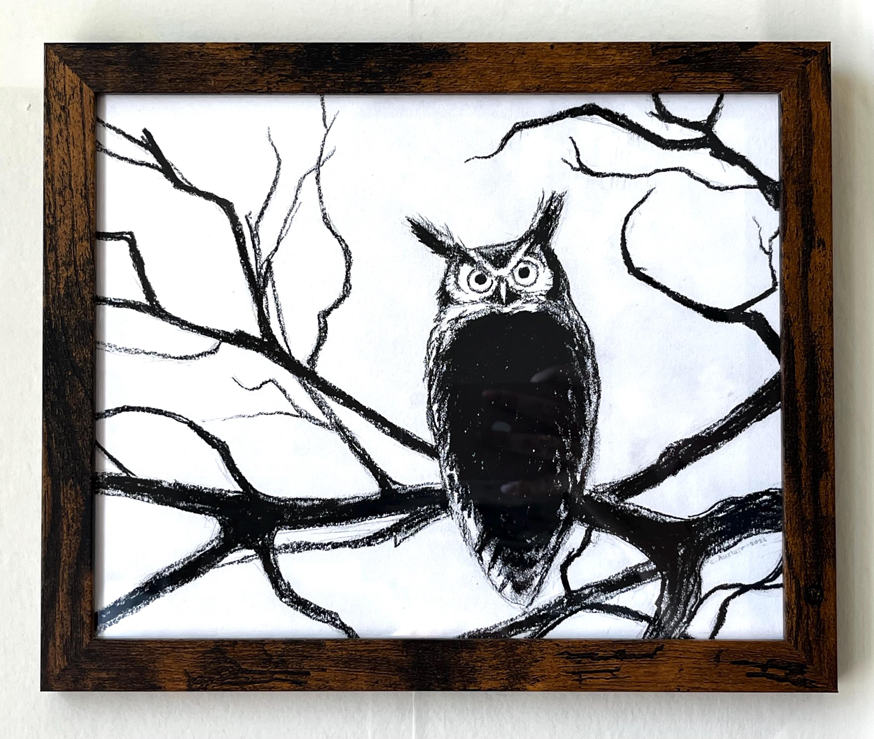 Framed Original Owl Charcoal Drawing, 11&rdquo;x9&rdquo;, great-horned bird animal