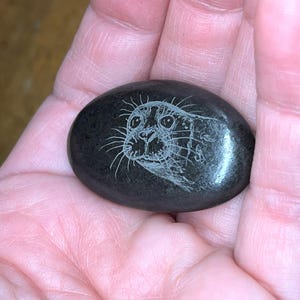 May include: A dark gray, smooth stone with a detailed etched image of a seal. The seal's face is depicted with fine lines, showcasing its whiskers and expressive eyes. The stone is oval-shaped and held in a hand.
