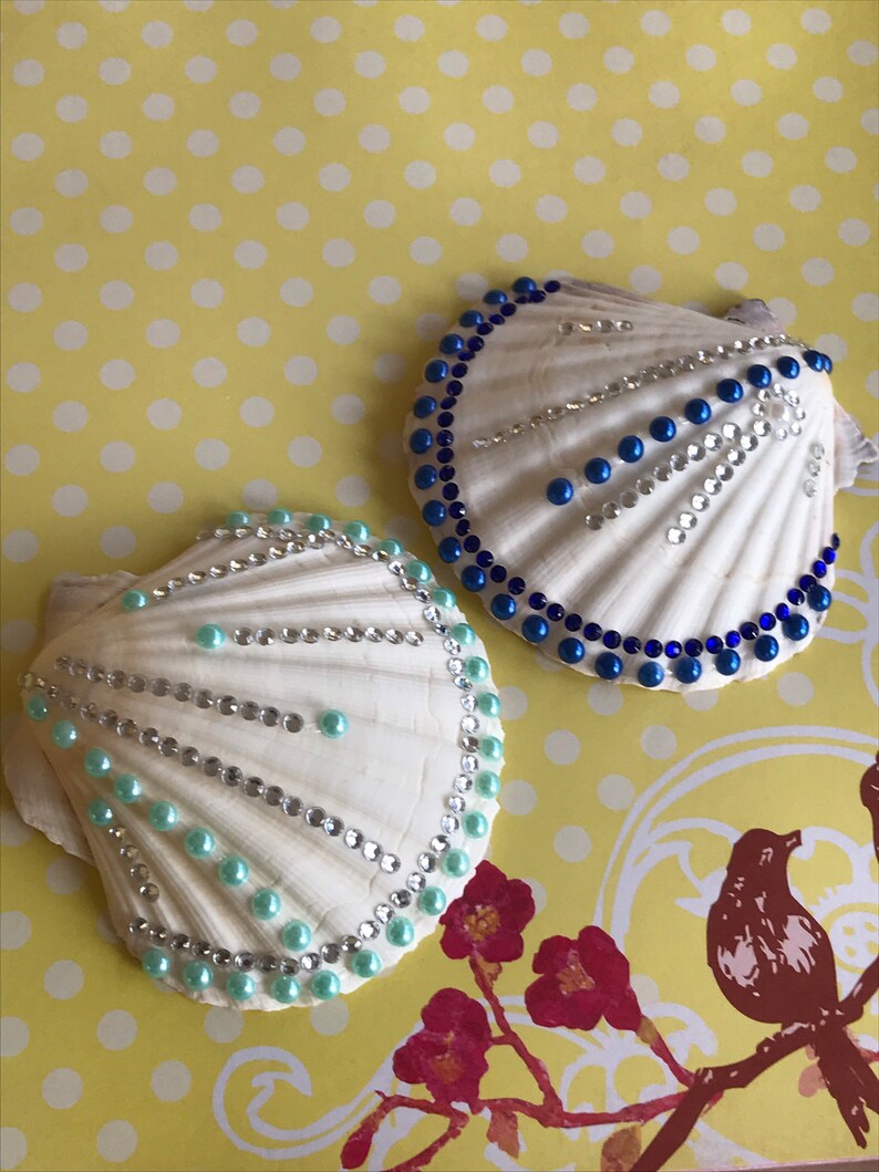 100PCS Natural Seashell Mix: Beach Decor, Aquarium, Crafts (0.5-3"in) - Canada - Foto 9