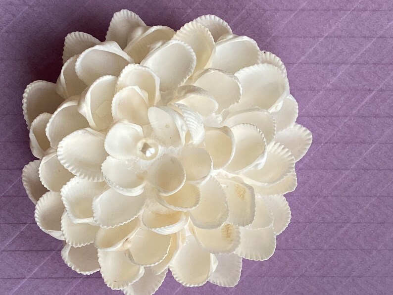 White Shell Flower: Pearl Centerpiece, Wedding Home Decor (4-inch) - Etsy