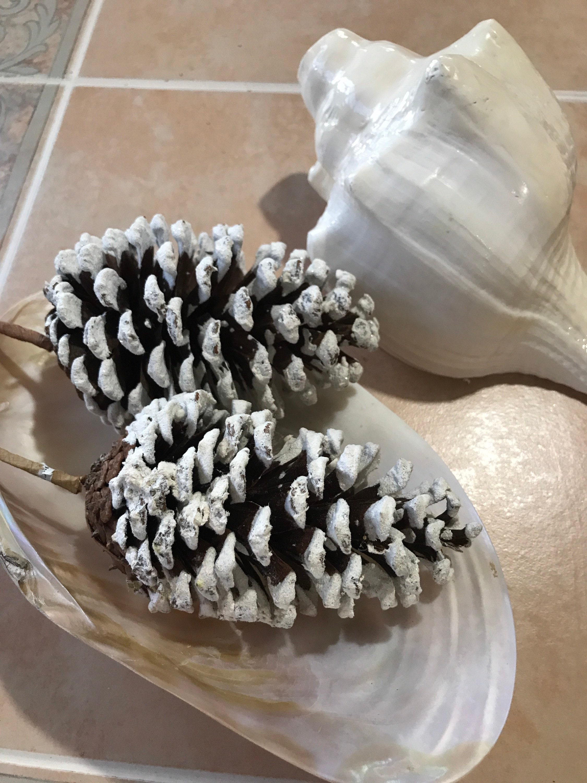 Extra Large White Tipped Pinecone Picks Measuring 11 in Long, for Your  Extravagant Holiday Wreaths, Garlands, Centerpieces and Other Crafts. 