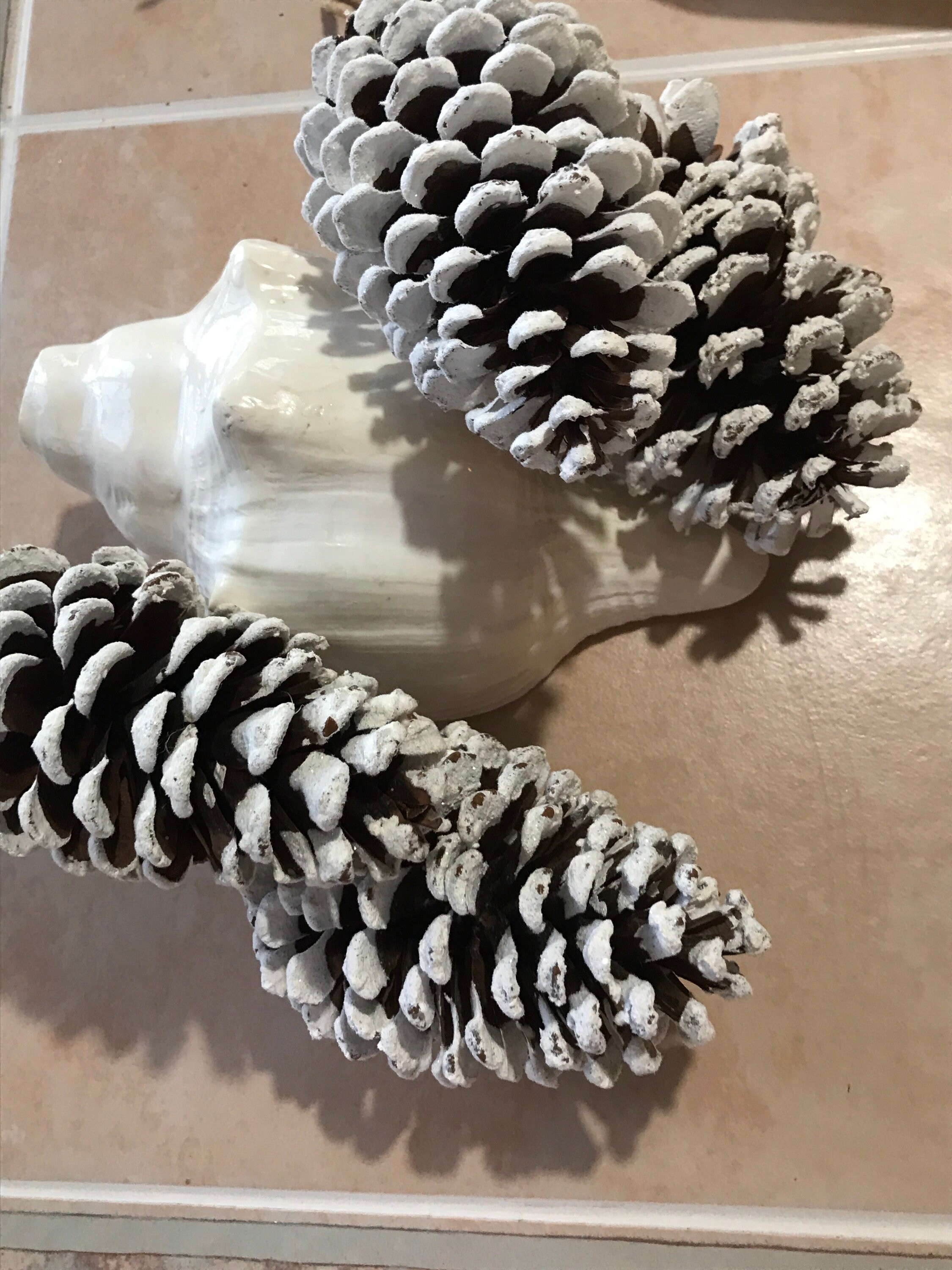 2.5 White Tipped Pine Cone Pick – Larksilk