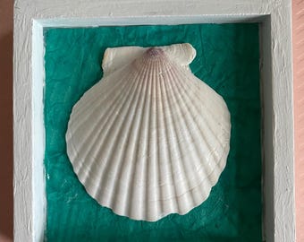 Scallop Shell Art: Coastal Decor in White Wooden Frame