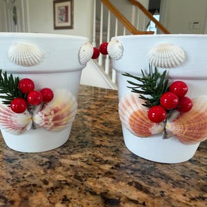 May include: Two white terracotta pots decorated with white seashells along the top rim. Each pot features a central arrangement of two fan-shaped seashells, a small green pine sprig, and three bright red berries attached to the front surface.