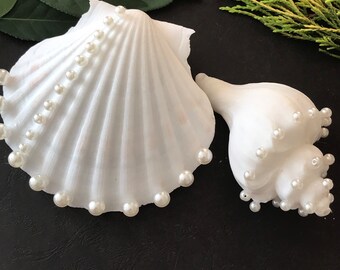 Large White Scallop Shell & Medium White Conch Shell with White Pearl Bead Rim Elegant Coastal Decor for Weddings, Crafts, and Home Styling.