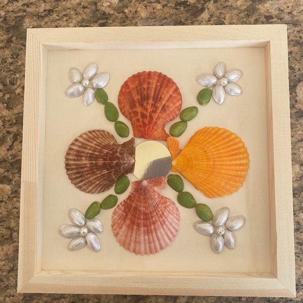 Shell Art display of natural colored scallop shells for collection, nautical decor, shell collage gifts for weddings birthdays anniversaries