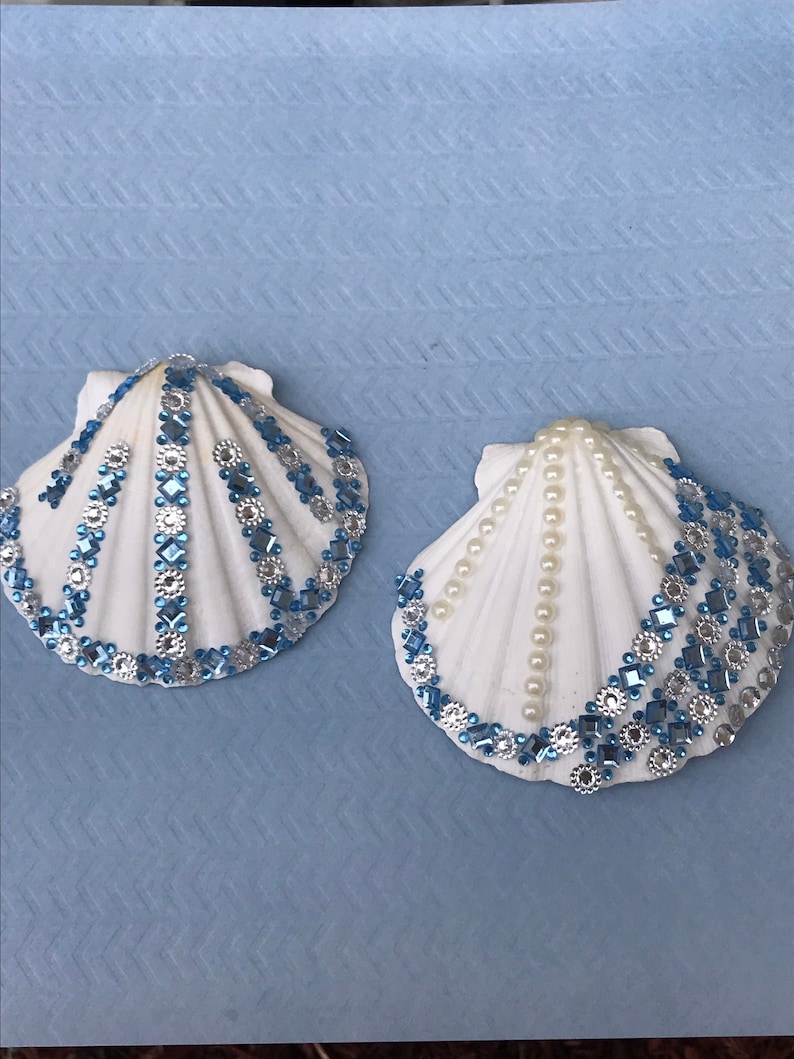 100PCS Natural Seashell Mix: Beach Decor, Aquarium, Crafts (0.5-3"in) - Canada - Foto 4