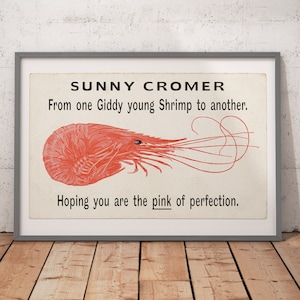 Sunny Cromer Giddy Young Shrimp / Print / Poster / A5 + A4 + A3 sizes