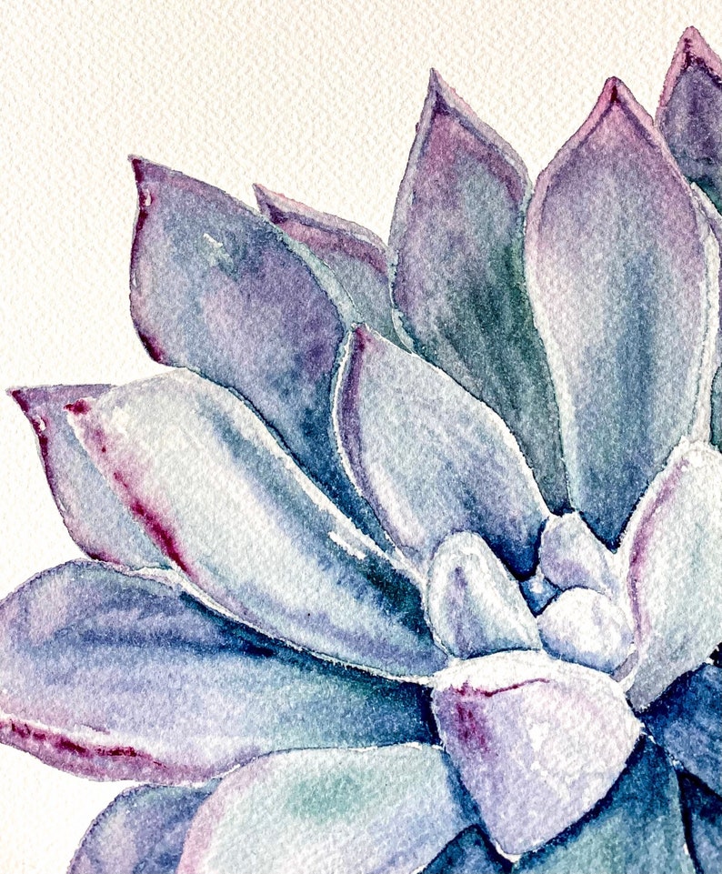 Download Succulent Art Print Watercolor Print Succulent Art Watercolor Succulent Art Collectibles Painting Sharestan Com