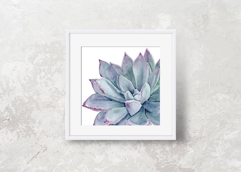 Watercolor Succulent Watercolor Print Succulent Art Print Succulent Art