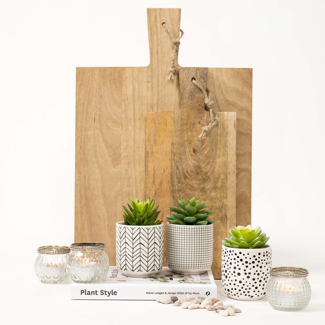 Set of 3 Artificial Succulents in Black and White Pots Faux Plants in