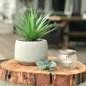 ARTIFICIAL GREEN PLANT in cute grey rustic pot - 7&quot; high