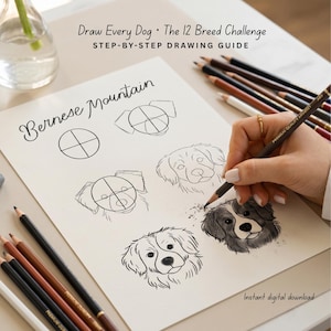 May include: A drawing guide showing step-by-step instructions for drawing a Bernese Mountain Dog. The guide is titled "Draw Every Dog - The 12 Breed Challenge" and is available as an instant digital download.