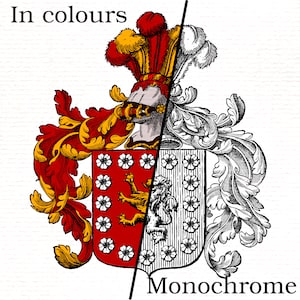 Custom Coat of Arms - 16th/17th century engraving looking - Colors OR Monochrome (1 work) - heraldry - Vector - Pdf - SVG - PNG