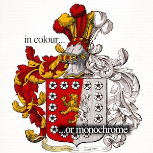 Stemma personalizzato storicamente accurato - Incisione del XVI/XVII secolo - Araldica a colori o monocromatica - Vettore - Pdf - SVG - PNG