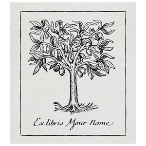 Custom Olivier Ex-Libris - Olive Tree - 1600&#39;s & 1700&#39;s engraving style - baroque -  17th 18th century - bookplate - exlibris