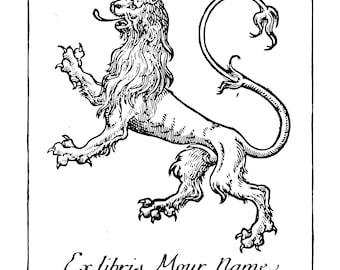 The bondage and travels of Johann Schiltberger : a native of